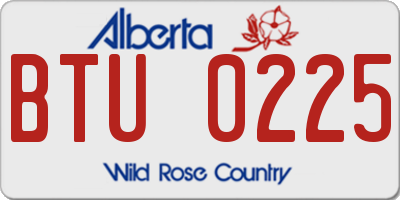 AB license plate BTU0225