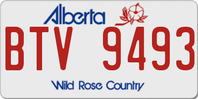 AB license plate BTV9493