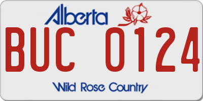 AB license plate BUC0124