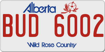 AB license plate BUD6002