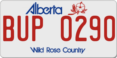 AB license plate BUP0290