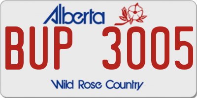 AB license plate BUP3005
