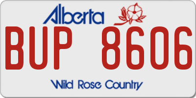 AB license plate BUP8606