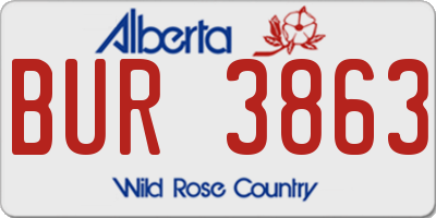AB license plate BUR3863
