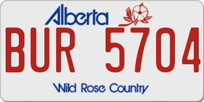 AB license plate BUR5704