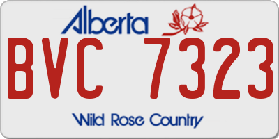 AB license plate BVC7323