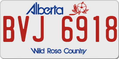AB license plate BVJ6918