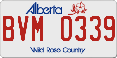 AB license plate BVM0339