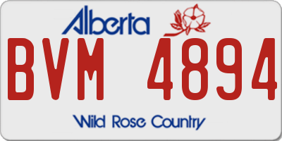 AB license plate BVM4894