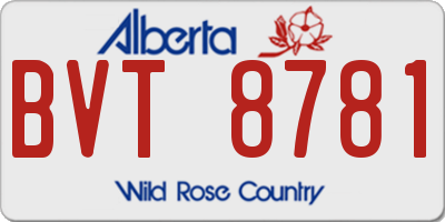 AB license plate BVT8781