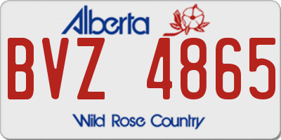 AB license plate BVZ4865