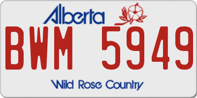 AB license plate BWM5949