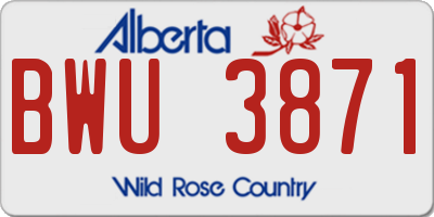 AB license plate BWU3871