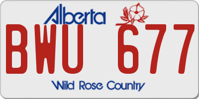 AB license plate BWU677