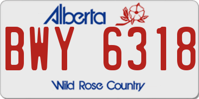 AB license plate BWY6318