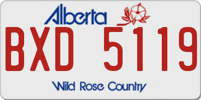 AB license plate BXD5119