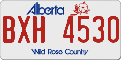 AB license plate BXH4530