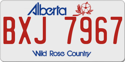 AB license plate BXJ7967