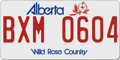 AB license plate BXM0604