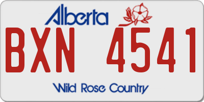 AB license plate BXN4541