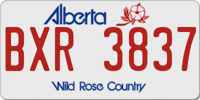AB license plate BXR3837