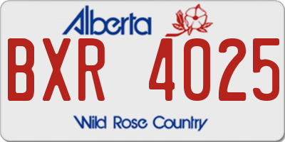AB license plate BXR4025
