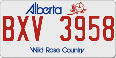 AB license plate BXV3958