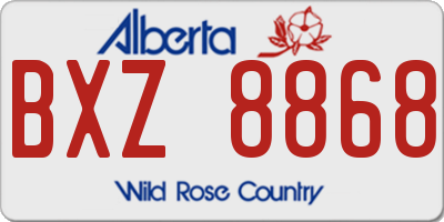 AB license plate BXZ8868