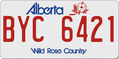 AB license plate BYC6421