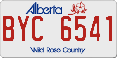 AB license plate BYC6541