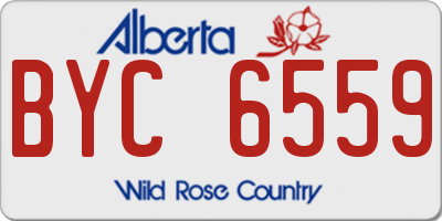 AB license plate BYC6559