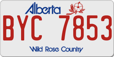 AB license plate BYC7853