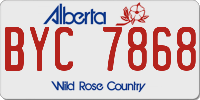 AB license plate BYC7868