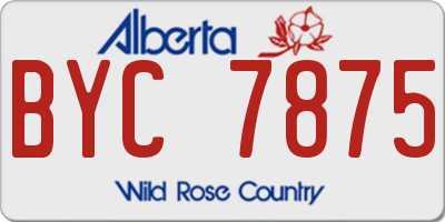 AB license plate BYC7875