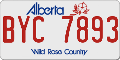 AB license plate BYC7893