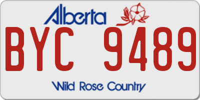 AB license plate BYC9489