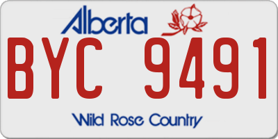 AB license plate BYC9491