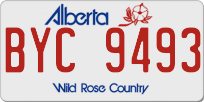 AB license plate BYC9493