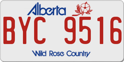 AB license plate BYC9516