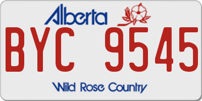 AB license plate BYC9545