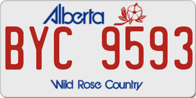 AB license plate BYC9593