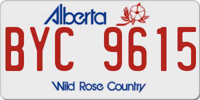 AB license plate BYC9615