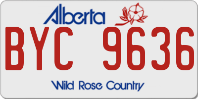 AB license plate BYC9636