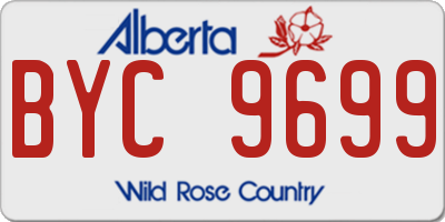 AB license plate BYC9699