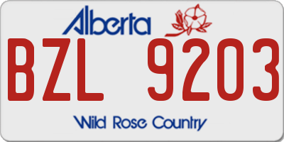 AB license plate BZL9203