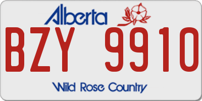 AB license plate BZY9910