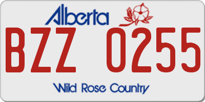 AB license plate BZZ0255