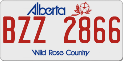 AB license plate BZZ2866