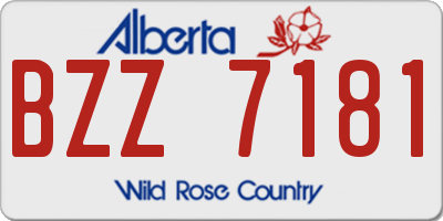 AB license plate BZZ7181