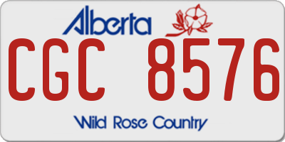 AB license plate CGC8576